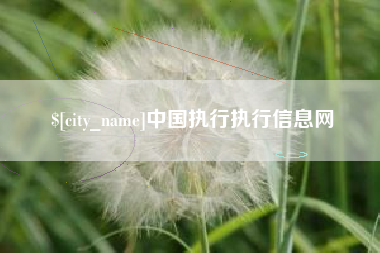 保定中国执行执行信息网