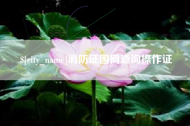 保定消防证国网查询操作证