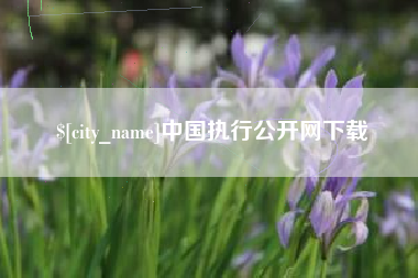 保定中国执行公开网下载