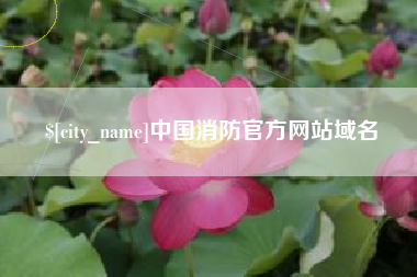保定中国消防官方网站域名