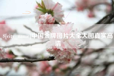 保定中国金牌图片大全大图真实高清
