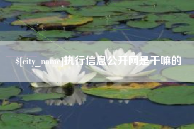 保定执行信息公开网是干嘛的