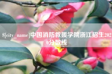 保定中国消防救援学院浙江招生2020分数线