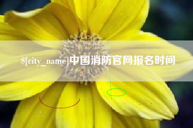 保定中国消防官网报名时间