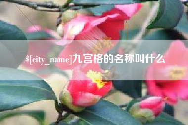 保定九宫格的名称叫什么