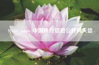 保定中国执行信息公开网失信