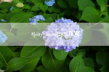 保定2022九宫