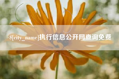 保定执行信息公开网查询免费