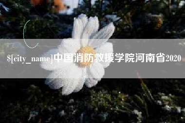 保定中国消防救援学院河南省2020